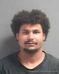 Mugshot of DONAVON LEE HOLMES