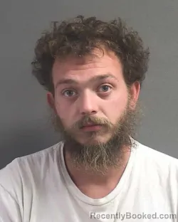 Mugshot of JUSTICE D WALLS