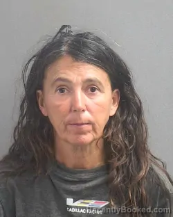 Mugshot of ANNA P DELEO