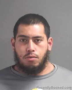 Mugshot of DAVID POUTASI