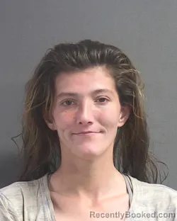 Mugshot of SUMMER BLAZE DOLLARHIDE