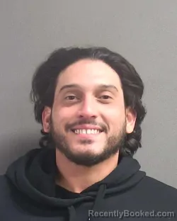 Mugshot of LUIS ORLANDO ALARCON