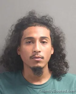 Mugshot of IRVIN MENDEZ