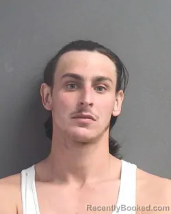 Mugshot of BRUCE ROBERT VILE