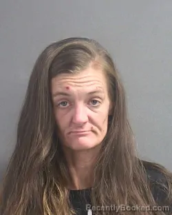 Mugshot of DANIELLE N MACKPRANG