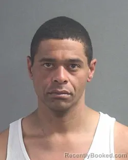 Mugshot of RAYNELL L WISE