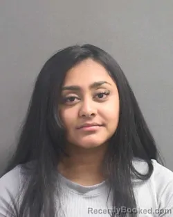 Mugshot of JANELLE R SALAMAYA