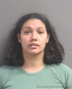 Mugshot of SHARILYN NUNEZ
