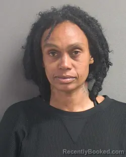 Mugshot of YOLANDA M CUELLAR