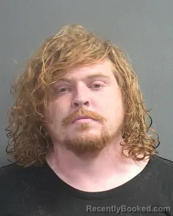 Mugshot of DONNY JAMES PANKONIN