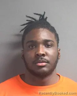 Mugshot of DORIEN RAJAY RICHARDS