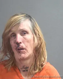 Mugshot of SHANNON DOROTHY CALLAGHAN