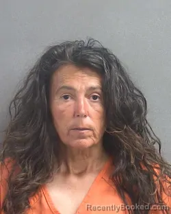 Mugshot of ANNA P DELEO