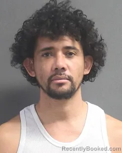 Mugshot of GERMAN D HERRERA CANELAS