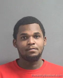 Mugshot of REGINALD V PRINCE