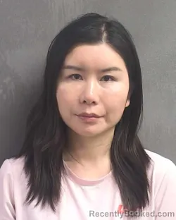 Mugshot of AIJIN RONG