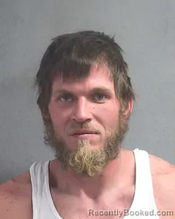 Mugshot of MARK ALLEN WELLMAN