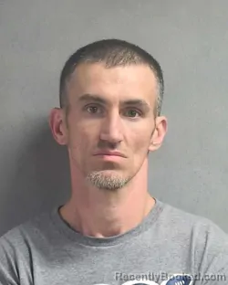 Mugshot of NATHAN S POOLE