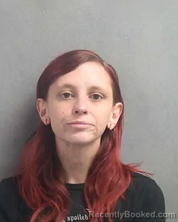 Mugshot of JANIS LYNN SMITH