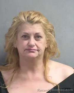 Mugshot of DONNA A GORNIAK