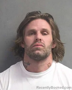 Mugshot of ALAN T DUKES