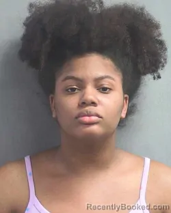 Mugshot of GABRIELLA J MITCHELL