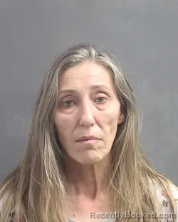 Mugshot of CAROL ANN CLEMENT