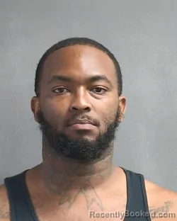 Mugshot of LOUIS MITCHELL