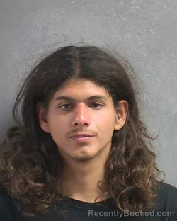 Mugshot of ORION FRANCESCHINI