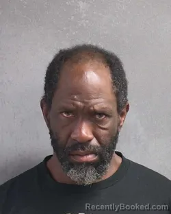 Mugshot of SHANEL A BROWN