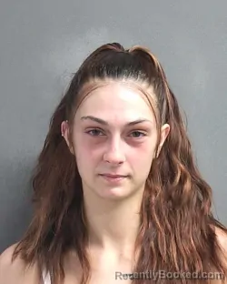 Mugshot of FELICITY S DIONISI booked in Volusia County, Florida on March 7, 2026