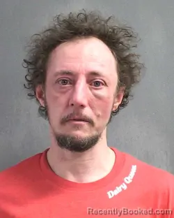 Mugshot of LEVI M SUMMERS booked in Volusia County, Florida on March 7, 2026