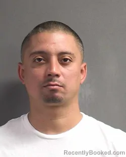 Mugshot of PETER COOPER VAN DUNK booked in Volusia County, Florida on March 8, 2026