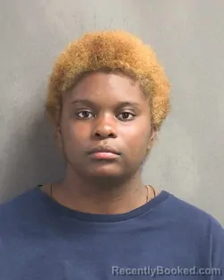 Mugshot of NY'KEIRRA TAYLOR