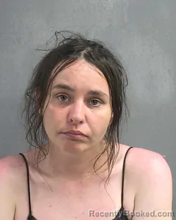 Mugshot of DANIELLE MARIAH CODISPOTI