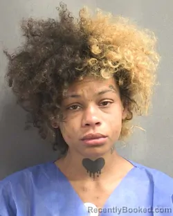 Mugshot of ZYANNA DAISYELLA WHEELER