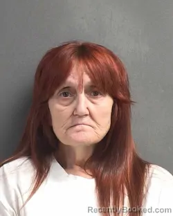 Mugshot of SHANNON L FRAZEE booked in Volusia County, Florida on March 9, 2026