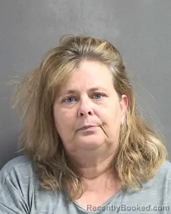 Mugshot of THERESA A BROOKS booked in Volusia County, Florida on March 10, 2026