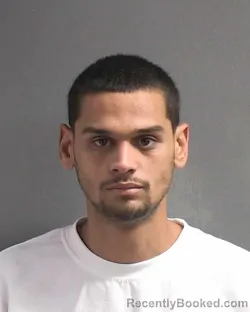 Mugshot of EDWIN LUIS TORO booked in Volusia County, Florida on March 11, 2026