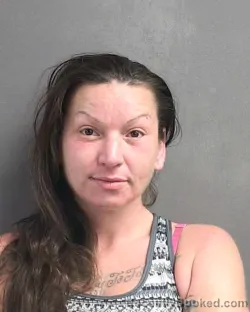 Mugshot of ELIZABETH D EVANS booked in Volusia County, Florida on March 12, 2026