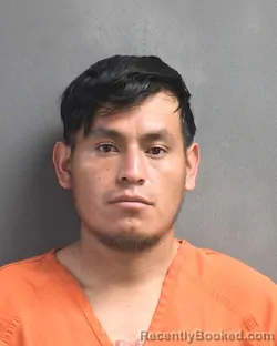 Mugshot of OLISEO GREGORIO RAMIREZ BRAVO booked in Volusia County, Florida on March 12, 2026