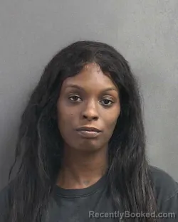 Mugshot of D ' AJA A ' YANA UNIQUE SERAPHIN booked in Volusia County, Florida on March 13, 2026