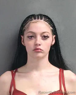 Mugshot of JAYME TAYLOR JACKSON booked in Volusia County, Florida on March 13, 2026