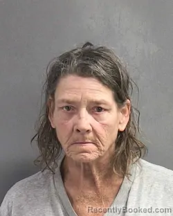 Mugshot of CARLA WOOD SNEATHEN booked in Volusia County, Florida on March 13, 2026