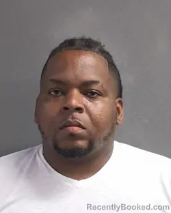 Mugshot of DWAWN FOUNTAIN booked in Volusia County, Florida on March 13, 2026