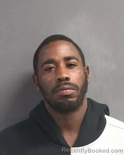 Mugshot of JAMES WINDELL BLAIR booked in Volusia County, Florida on March 13, 2026