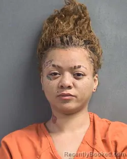 Mugshot of ELLE MARIE ROSE booked in Volusia County, Florida on March 14, 2026