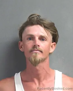 Mugshot of LEVI AARON JOHNSON
