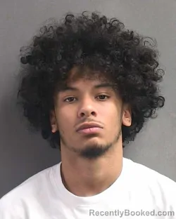 Mugshot of JOSEPH LUNA