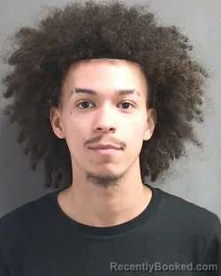 Mugshot of CEDRIC E CRUZ